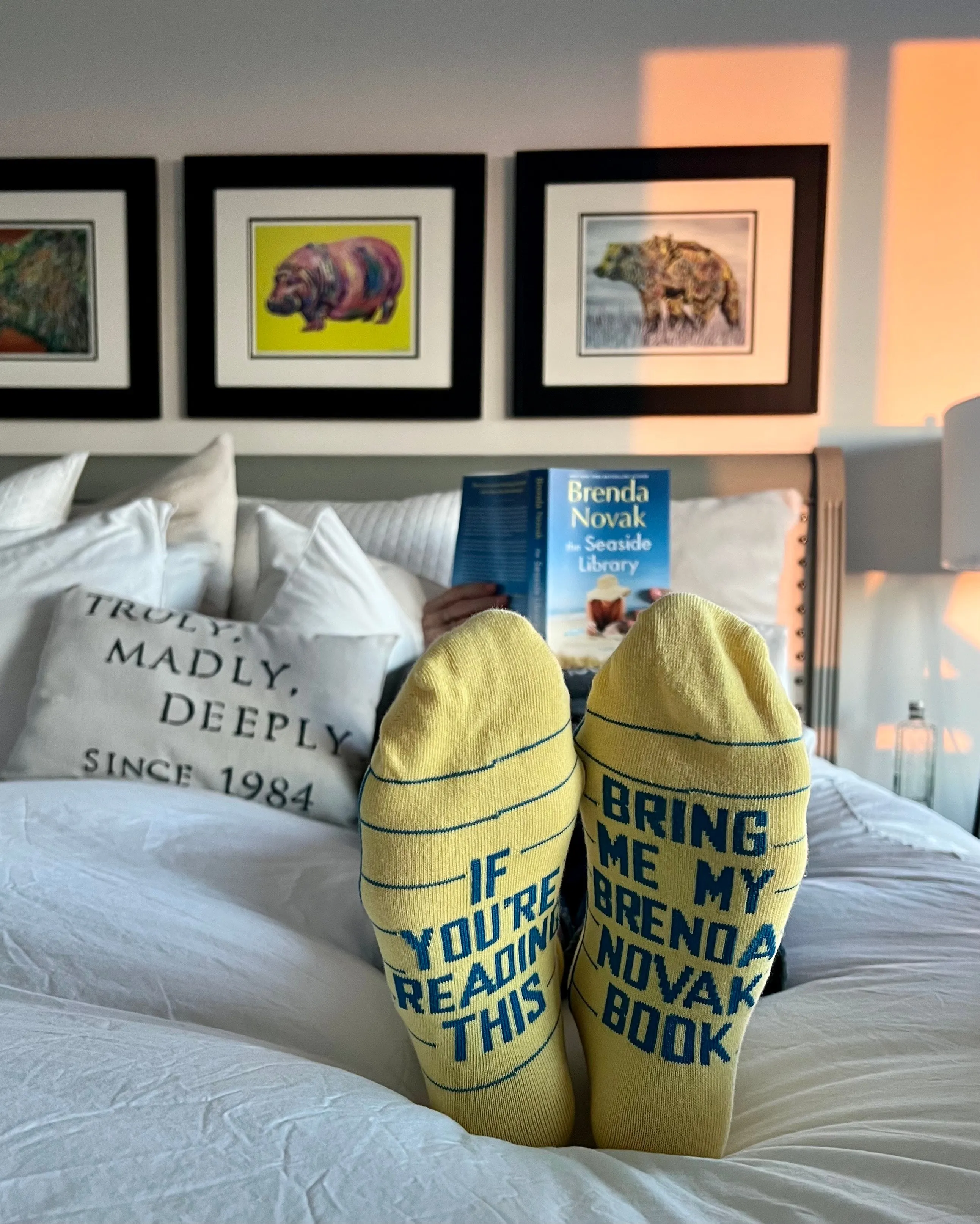 Library Socks